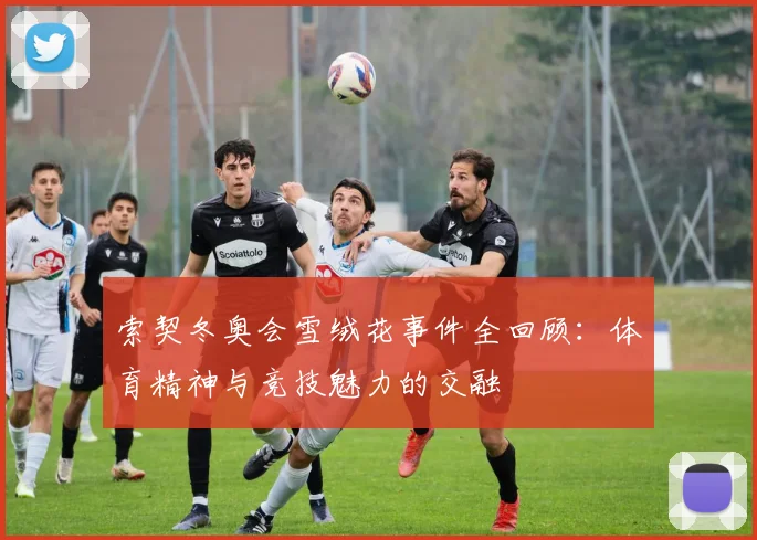 索契冬奥会雪绒花事件全回顾：体育精神与竞技魅力的交融