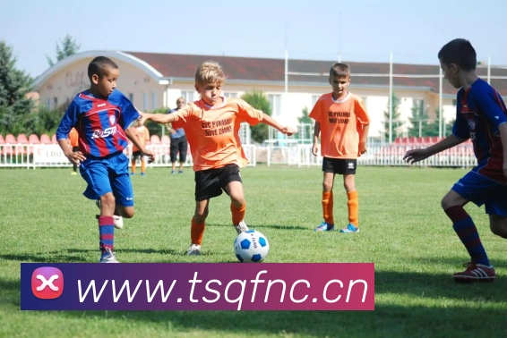 多媒体互动体验